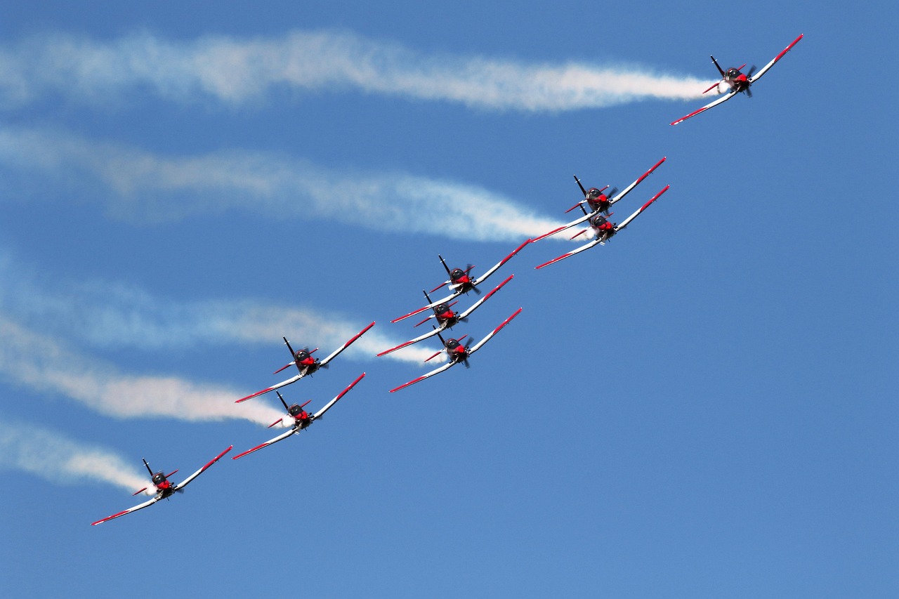 铁塔猫冰果爆珠（粗）：物流平台代理