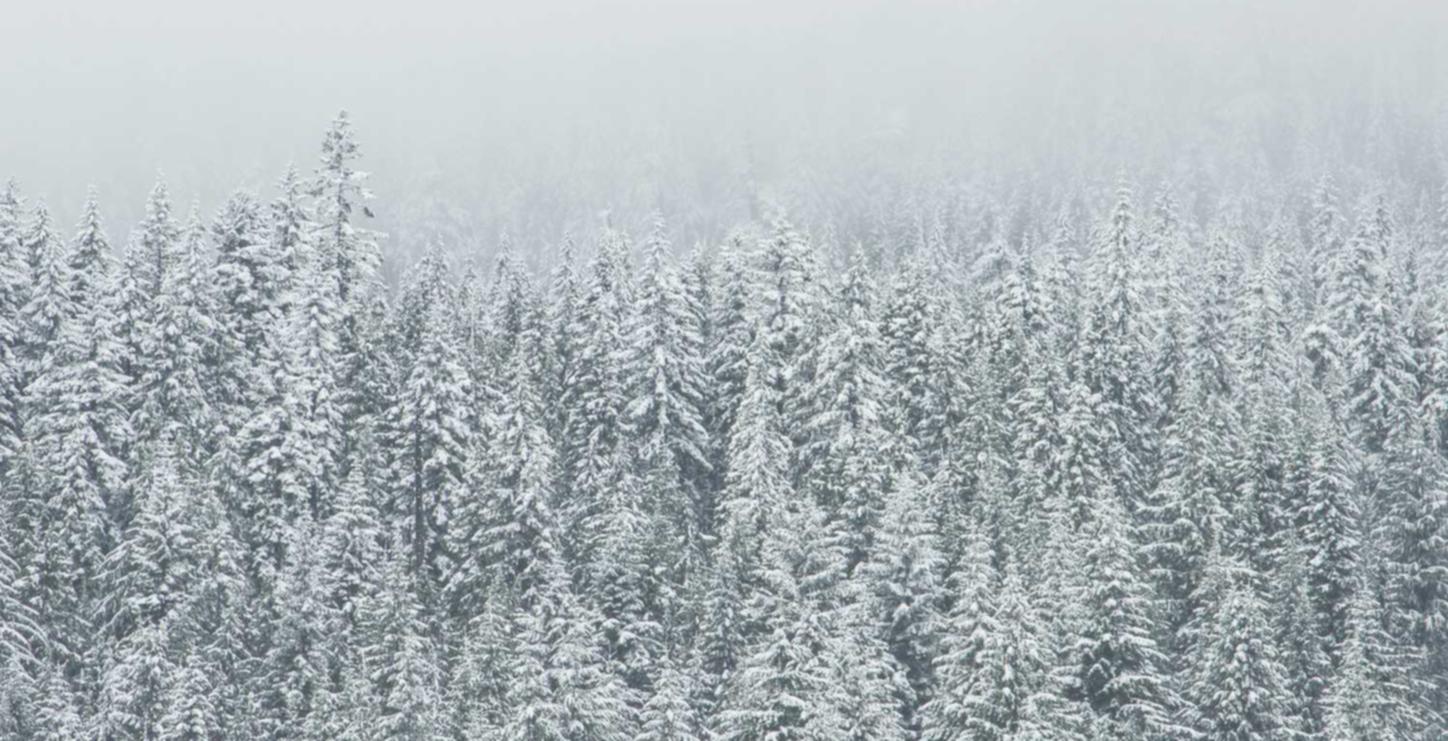 吞星辅助- 黑龙江工商注册代理价格