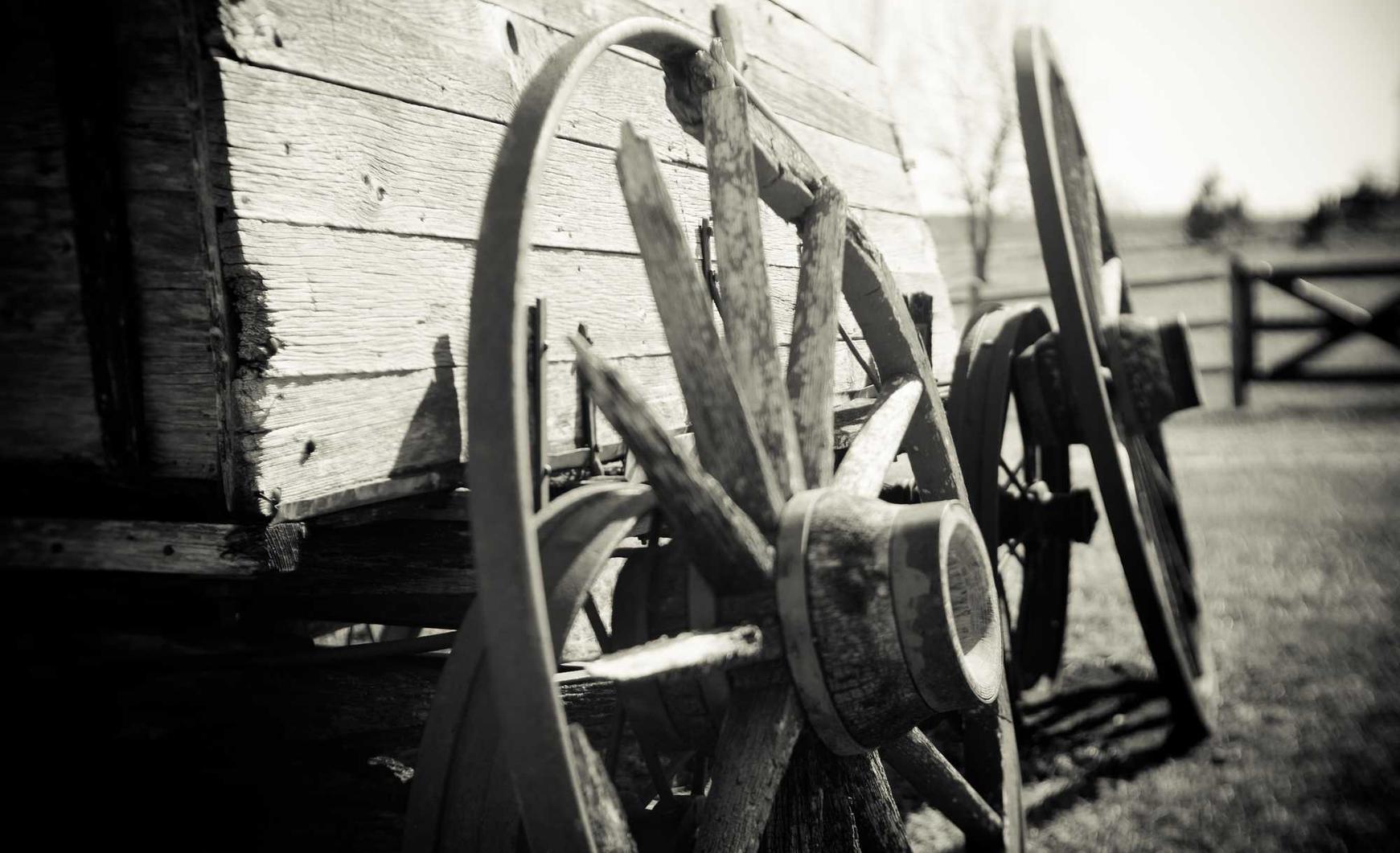 巨人：嘉鹅app详情下载教程