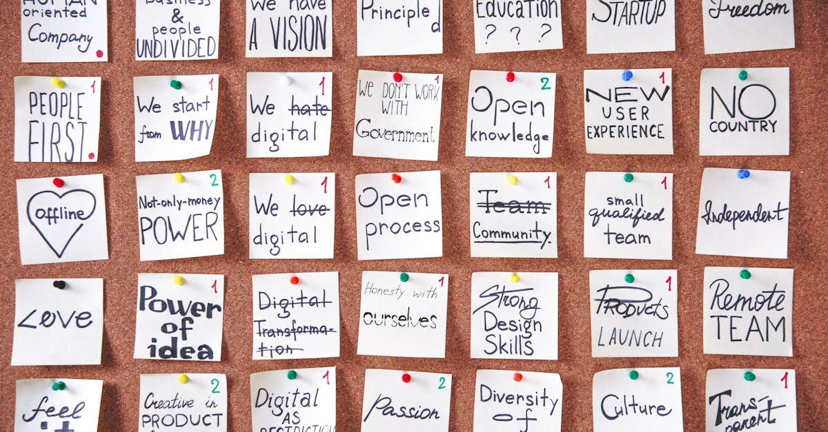 蓝猫移动实名账号：注册csgo账号