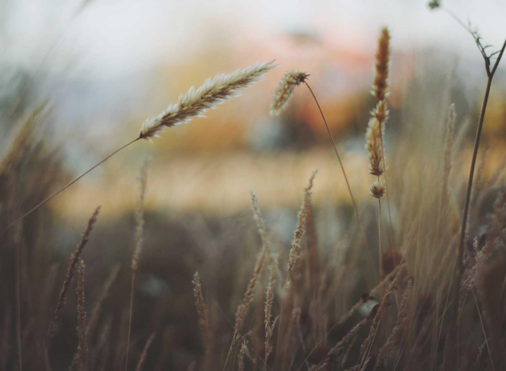 海外旅游应用流量套餐攻略，看看哪一个线上流量套餐最适合你