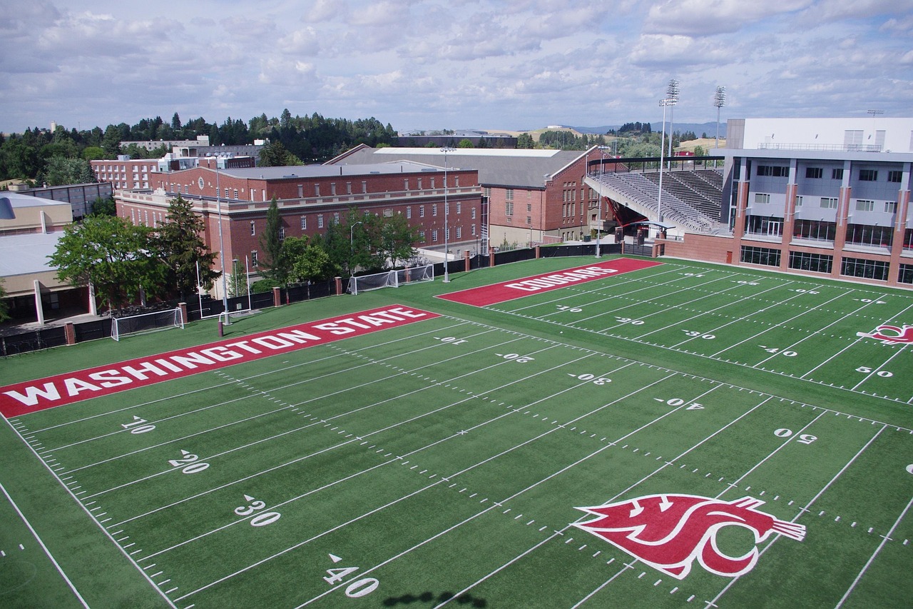 短信营销和搜索引擎营销的协同作用