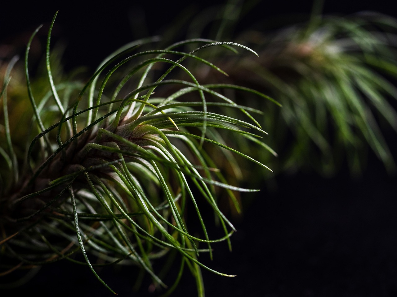 淘宝实名账号：任意门app详情下载教程