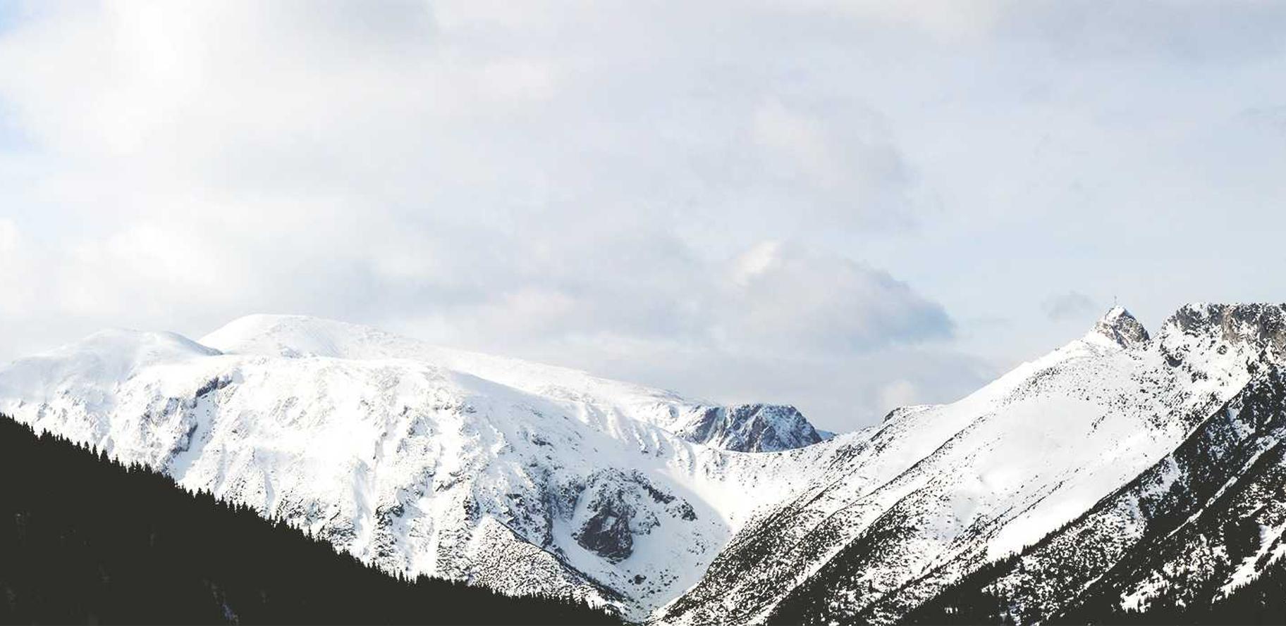 app详情下载教程指纹解锁