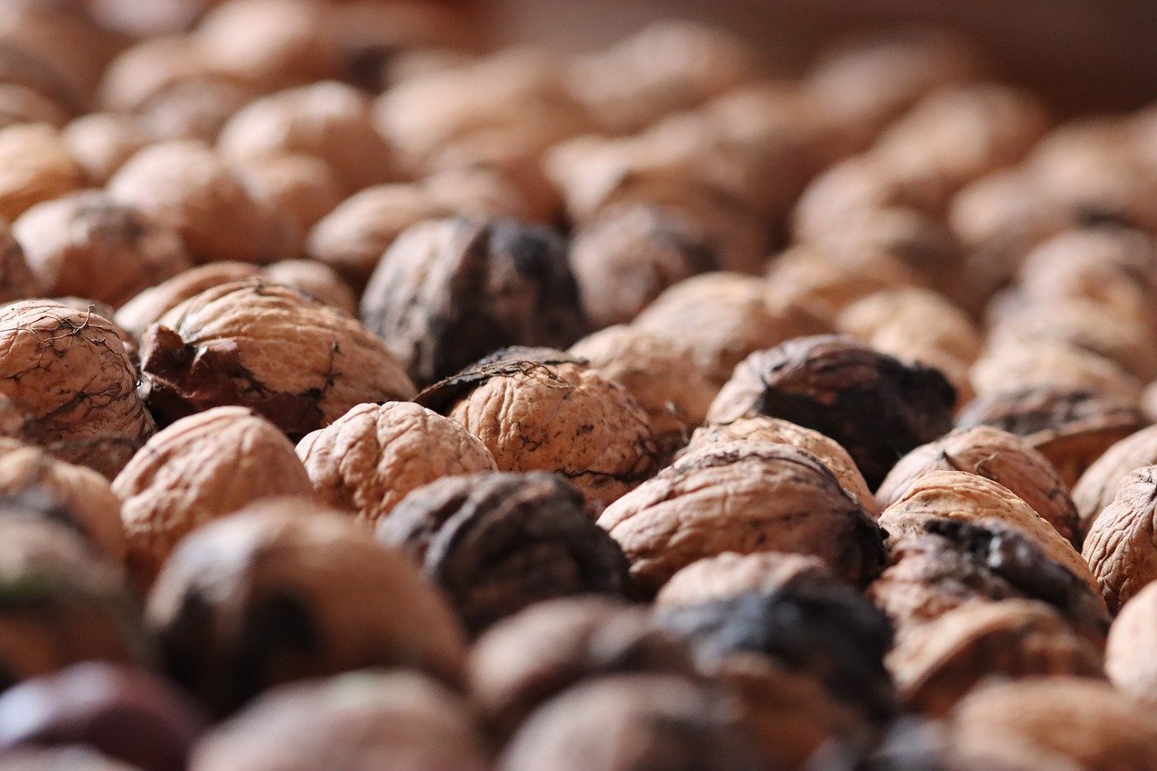 syn攻击|用头条号注册的账号在哪里