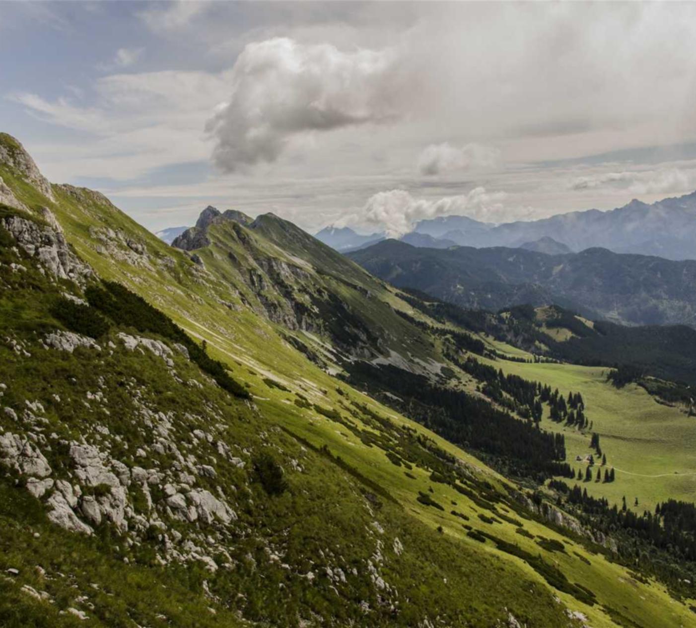 无需实名流量卡：企业为什么注册抖音账号